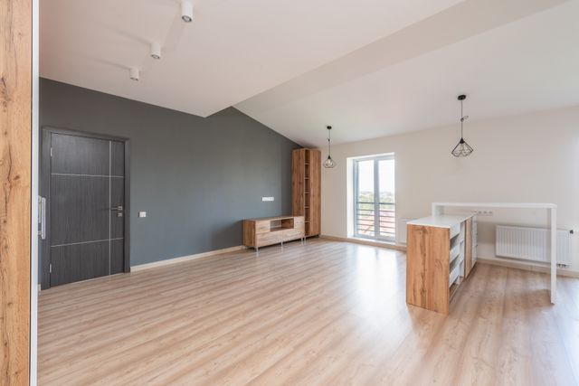 spacious modern apartment living room